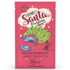 Schaumbad für Übermütige „Dear Santa it`s a loooong story“