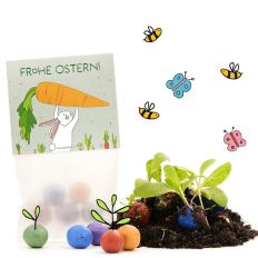 Blumenmurmeln im Pergaminbeutel „Frohe Ostern“ (Motiv Hase mit Möhre)