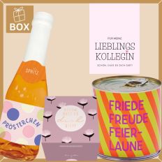 Geschenkbox für Kollegin – Geschenk „Lieblingskollegin“ (Set 9)