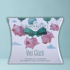 Glückslicht GLÜCKSSCHWEINE - VIEL GLÜCK! 
