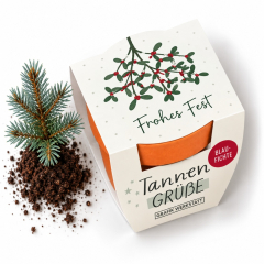 Tannengrüße „Frohes Fest“ (Blaufichte)