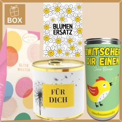 Geschenkbox Blumenersatz – Originelles Geschenk statt Blumen (Set 2)