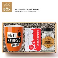 Geschenkbox Mitarbeitergeschenk – „The Best Team – Member“ (Set 4)