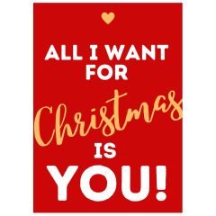 Geschenkverpackung für Weihnachtsgeschenke „All I Want For Christmas Is You!“