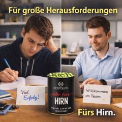 Wasabi Erdnüsse „Futter für`s Hirn“ (feinscharf)
