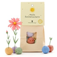 Wildblumensaatgut "Hallo Sonnenschein"