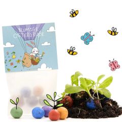 Blumenmurmeln im Pergaminbeutel „Blumige Ostergrüße“