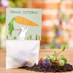 Blumenmurmeln im Pergaminbeutel „Frohe Ostern“ (Motiv Hase mit Möhre)