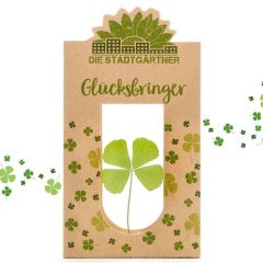 Geschenktüte DU SCHAFFST DAS! # 20