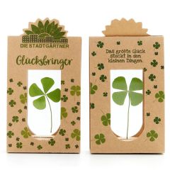 Glücksbringer - echtes Kleeblatt getrocknet