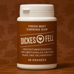 Kaugummis DICKES FELL