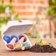 „Osterblumen“ Blumenmurmeln 6 Stück im Mini-Eierkarton 