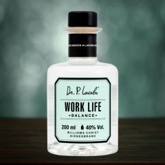 Williams-Christ-Birnenbrand Work Life Balance