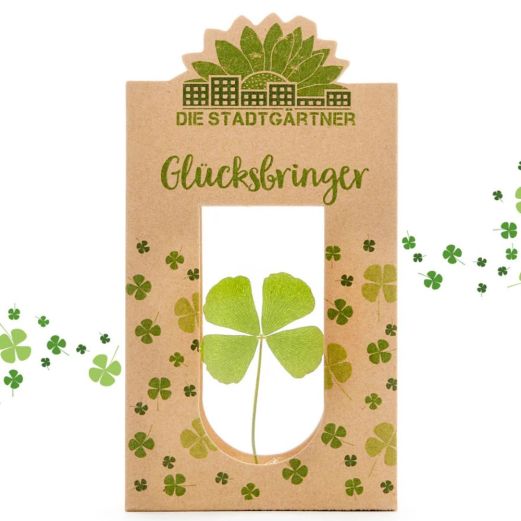 Glücksbringer - echtes Kleeblatt getrocknet