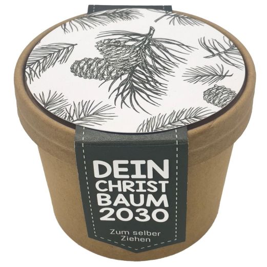 Pflanzset „Dein Christbaum 2030“ - Lustiges Wichtelgeschenk