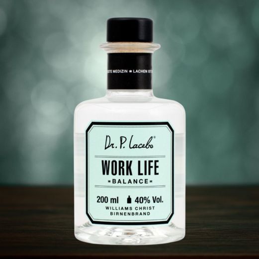 Williams-Christ-Birnenbrand Work Life Balance