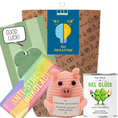 Geschenktüte „Viel Glück & Erfolg“ – Geschenk zur Prüfung oder zum Jobstart (Set 10)