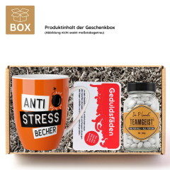 Geschenkbox Mitarbeitergeschenk – „The Best Team – Member“ (Set 4)