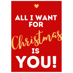 Geschenkverpackung für Weihnachtsgeschenke „All I Want For Christmas Is You!“