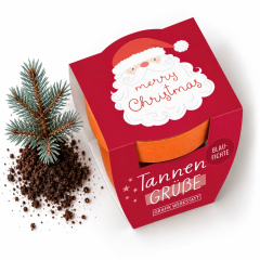 Tannengrüße „Merry Christmas“ (Blaufichte)